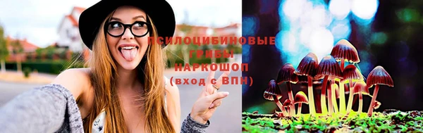 ешки Алзамай