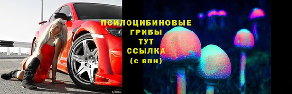ешки Алзамай