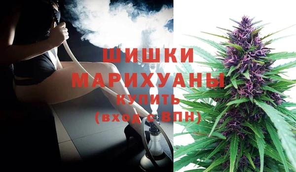 ешки Алзамай