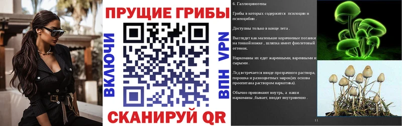 это состав Медынь Псилоцибиновые грибы мухоморы ОМГ ОМГ ссылки